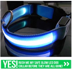Get Your FREE Glow LED Dog Collar.
