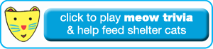 Play Meow Trivia and Feed Shelter Cats