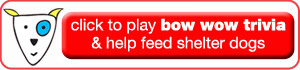 Play Bow Wow Trivia and Feed Shelter Dogs